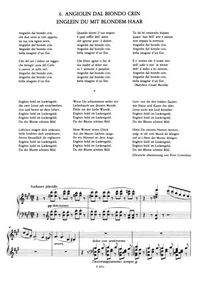 Lieder pour piano 6. Angiolin dal biodo crin - Franz Liszt